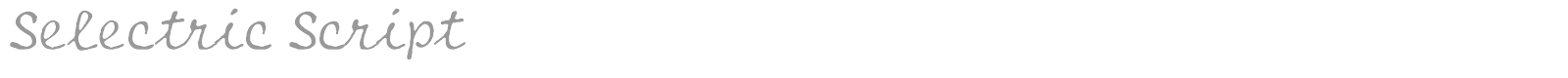 Selectric Script font preview